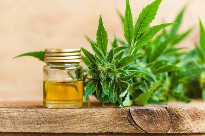 12 Of The Best CBD Massage Oils You Should Try