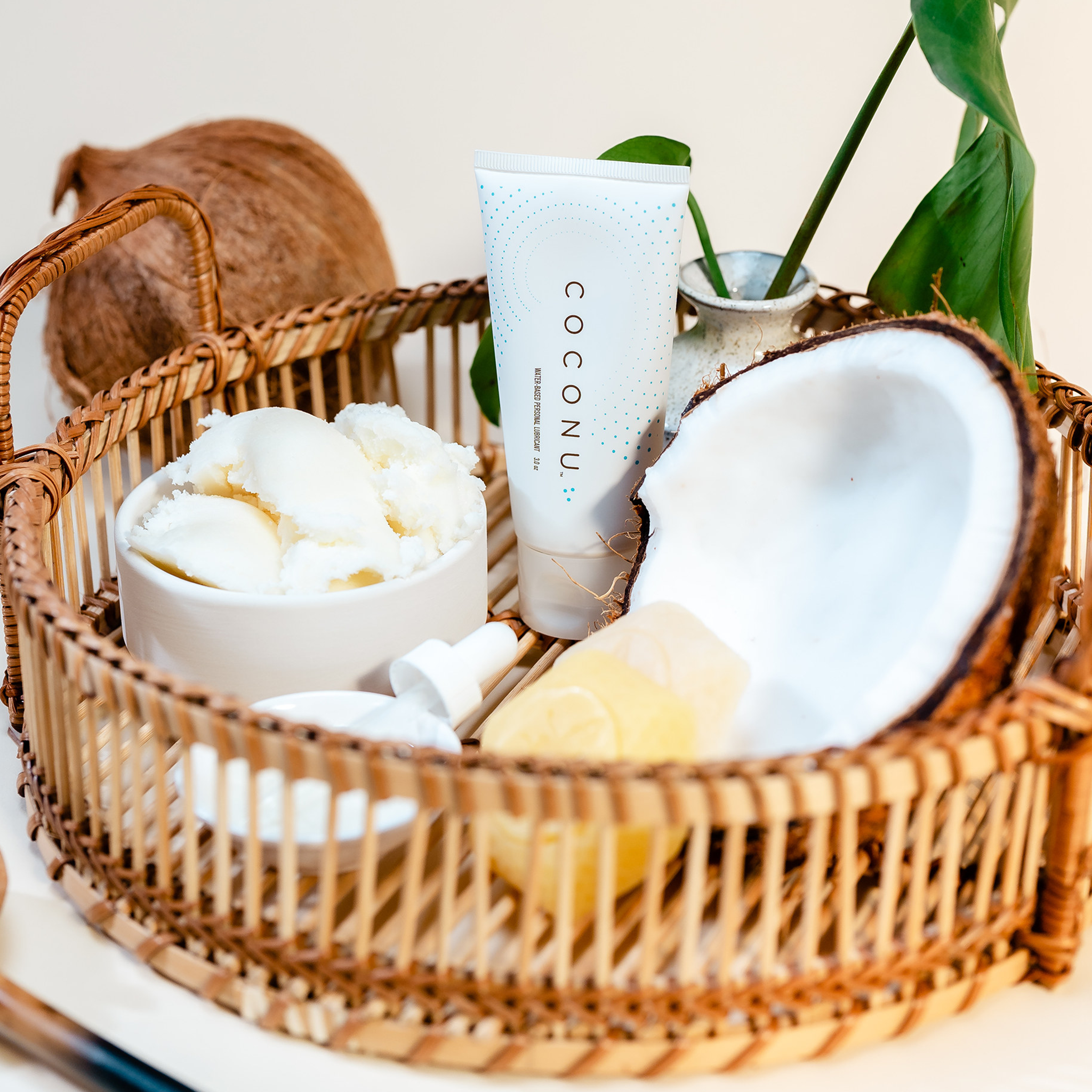 Coconu Combo Pack | Oil & Water based Personal Lubricants